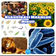 Check spelling or type a new query. Anak Ipa Wajib Tahu Klasifikasi Makhluk Hidup Guilanmu