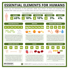 Essential Elements For Humans C En Periodic Graphics By Compound Interest Essential Elements Chemistry Lessons Periodic Table