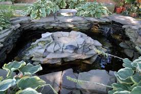 Memelihara Kura Kura Brazil Indoor Atau Outdoor