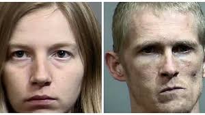 Two arrested, over 200 marijuana plants seized during search in Georgetown  County