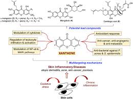 Eric liew process equipment team lead at jinko solar malaysia sdn. Frontiers Natural Xanthones And Skin Inflammatory Diseases Multitargeting Mechanisms Of Action And Potential Application Pharmacology