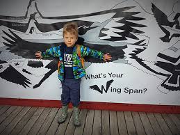 Check spelling or type a new query. Visit Jackson Bottom Wetlands Preserve City Of Hillsboro Or