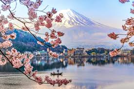Japan S Famed Cherry Blossoms Are Set To Arrive Early In 2020 Lonely Planet The cherry blossom festival celebrates the spring blooming of the yoshino cherry trees in macon, ga, with 10 days of fun, concerts, shopping, food & more! japan s famed cherry blossoms are set