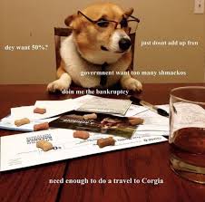 Corgi Taxes Dog Memes Funny Dog Memes Corgi