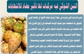 Food Body Care Vegetables