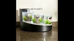 Filtered water continuously flows through each of three separate aquatic chambers. Aqueon Betta Falls More Like Despair Falls Youtube