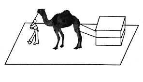 The camel was looking at his own reflection in the pool. Ram And Ali Have Been Fast Friends Since Childhood Ali Neglected