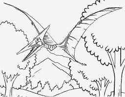 You need to use these photograph for backgrounds on mobile. Pteranodon Coloring Pages Coloring Home