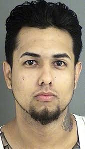 Sheriff's deputies investigating apparent dog-napping