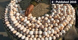 We did not find results for: Why Are Eggs Sold By The Dozen Why Not By 10s Or 8s The New York Times