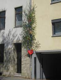 Als symbol für dieses fest steht der maibaum mit vielen bräuchen und traditionen. Maypoles A Summery German Tradition German Language Blog