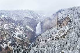 Discover our winter adventures to create a truly memorable vacation. Yellowstone In Winter Reasons To Visit Things To Do Tips