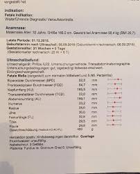 Die frühe feindiagnostik (frühe fd) ist eine weiterführende differentialdiagnostische ultraschalluntersuchung in der frühschwangerschaft und dient der frühzeitigen klärung des. Feindiagnostik 21 0 Ultraschall In Der Schwangerschaft 9monate De