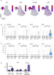 Julia markham cameron, an attorney from brooklyn, new york; Single Cell Analyses Reveal Megakaryocyte Biased Hematopoiesis In Myelofibrosis And Identify Mutant Clone Specific Targets Sciencedirect