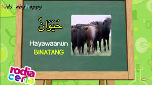 Selain tergolong dalam nama bayi islam dari asal bahasa arab, unik nya kata ini ada pada arti dan maksud nama ara yang memiliki makna (1) kuat dalam pemilihan nama, islam mengajarkan untuk memilih nama yang baik, karena nama anak merupakan identitas yang akan dikenali semenjak lahir. Kosakata Bahasa Arab Ragam Binatang 1 Youtube