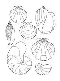 Ihr kind kann dieser kostenlosen malvorlage rund um sommer, strand und meer mit seinen buntstiften farbe verleihen. Malvorlagen Muscheln Muschel Mit Perle Zeichnen Malvorlagen Isabel Daily Blog