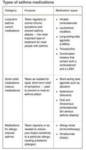 medications and daily management asthma education kiosk