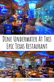 Dine Among Sea Creatures At The Houston Aquarium Restaurant In Texas Texas Travel Texas Vacations Underwater Restaurant