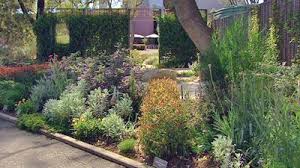Gardening Australia Fact Sheet Creating With Natives Australian Native Garden Native Garden Australian Garden