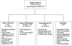 Frontiers Age Stratified T Cell Responses In Children