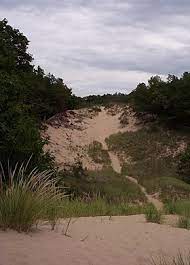 One of the main attractions at hoffmaster state park is the dune climb stairway leading to the top of a high sand dune where an observation deck offers a panoramic view of the dunes and lake michigan. Hoffmaster State Park Wikipedia