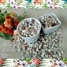 Pembayaran mudah, pengiriman cepat & bisa cicil 0%. Jual Batu Hias Taman Kerikil Pancawarna Tanaman Hias Aquascape Terrarium Di Lapak Nolvi Store Bukalapak