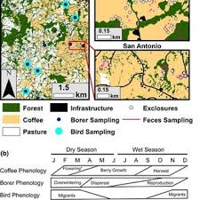 The pest control experts of san diego. Pdf Forest Bolsters Bird Abundance Pest Control And Coffee Yield