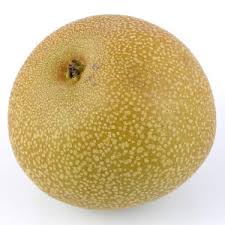 The tree's edible fruit is known by many names, including: Shinko Asian Pear Tree For Sale Willis Orchards