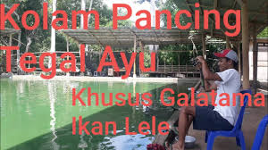 Kolam Pancing Tegal Ayu Bali Youtube