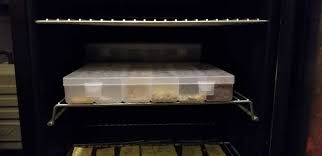 Conservation of seeds for preservation of genetic diversity is carried out in seed banks, where facilities are designed to maintain seed viability for tens and even hundreds of years. Storing Seeds How To Preserve Seeds For Years Epic Gardening