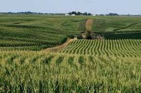 But if you double it you would have 84,000 in 100 acres. Chris Wolf 2018 Michigan Agricultural Land Values Department Of Agricultural Food And Resource Economics