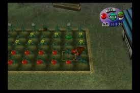 Popuri is an eligible bachelorette in harvest moon: Farming Anwl Harvest Moon Wiki Neoseeker