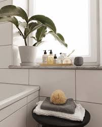 Bathroom Window After A Good Cleaning Session This Clean Feeling Will Last Exactly Two Hours Bathroom Window Sill Ideas Window Sill Decor Bathroom Window Decor