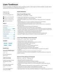 Get inspiration for your resume, use one of our professional templates, and score the job you want. Project Manager Resume Example Writing Tips For 2021