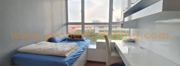 Dolce vita mall and hospital de s. Natura Loft Dbss Hdb Near Bishan Mrt Property Fishing