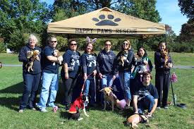 Maybe you would like to learn more about one of these? Happy Paws Rescue Inc Home Facebook