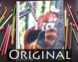 4.5 out of 5 stars. Panda Art Red Panda Art Realistic Panda Drawing Red Panda Drawing Original Realistic Animal Drawing Red Panda Drawing Red Panda Colored Pencil Pencil