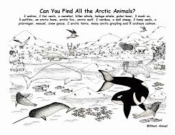 Also you can search for other artwork with our tools. Free Printable Arctic Animals Coloring Pages Coloring Home