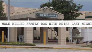 Maybe you would like to learn more about one of these? First Coast Teen Struggles To Find Mental Health Treatment After Allegedly Killing Family Dog Firstcoastnews Com