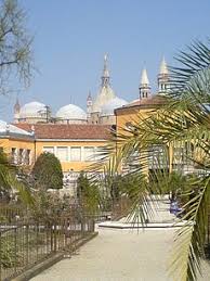 Der älteste botanische garten der welt wurde hingegen 1545 in padua (padova) in italien als horti semplicum, der. Botanischer Garten Padua Biologie
