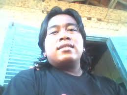 See the dolphin with with bob bali tours Ceck