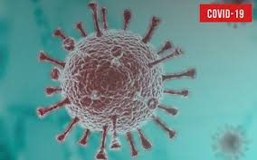 Phase four will occur with a vaccine or widespread immunity in the population. Covid 19 Medidas De Confinamento Sns