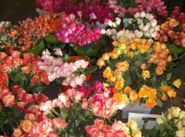 When you need to send flowers in atlanta, ga, make sure your order is in good hands: About Halls Atlanta Wholesale Florist Inc