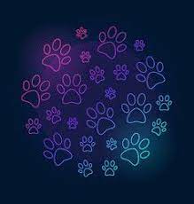 Paw Prints Round Bright Outline Dog Coloring Page Kitty Wallpaper Colorful Wallpaper