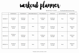 Workout Plan Template Excel New Workout Chart For Excel