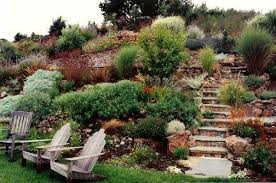 The backyard would be more of a challenge because the developer had used a bulldozer to scrape the building site out of a steep hill of chert. 25 Hillside Landscaping Ideas With Low Maintenance