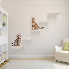 See more ideas about cat steps, cats, older cats. Try These 8 Cool Ideas To Build Wall Shelves For Cats Right Meow Catious
