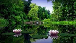 10 New Cool Nature Desktop Backgrounds 1920x1080 Full Hd 1920 1080 For Pc Background 2019 Fre Nature Desktop Nature Desktop Wallpaper Desktop Background Nature