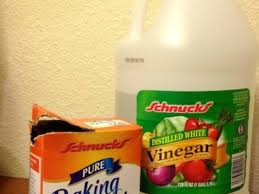 Doctor kirchner natural weed & grass killer. Use Vinegar Or Baking Soda To Kill Weeds Dengarden Home And Garden