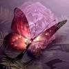 Watch full episodes of sweet dreams: Https Encrypted Tbn0 Gstatic Com Images Q Tbn And9gcrm1mqlsok2u 5psprb7oshqg3wh0dktagbvtu31f8pfmqv Mah Usqp Cau